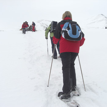 Schneeschuhwandern auf der Greimburg mit kurz:training