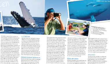 maxima Reportage Whale Watching (Bettina Kurz)